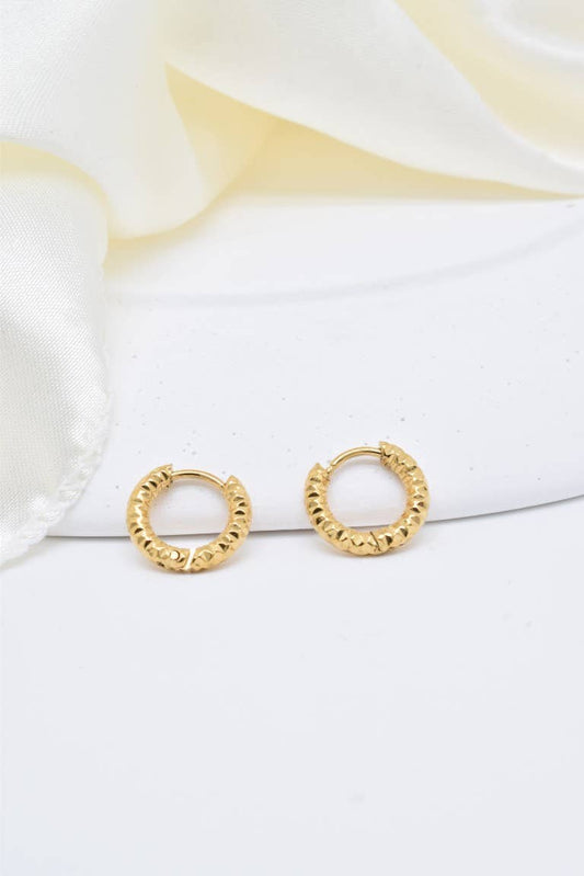 Luna Terra | Earrings
