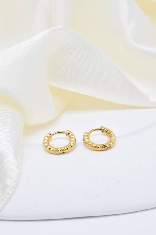Luna Terra | Earrings